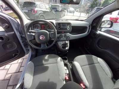 Fiat Panda 1.0 firefly hybrid s&s 70cv 5p.ti (6)