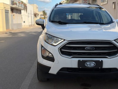 Ford EcoSport 1.0 EcoBoost 100 CV Plus (6)