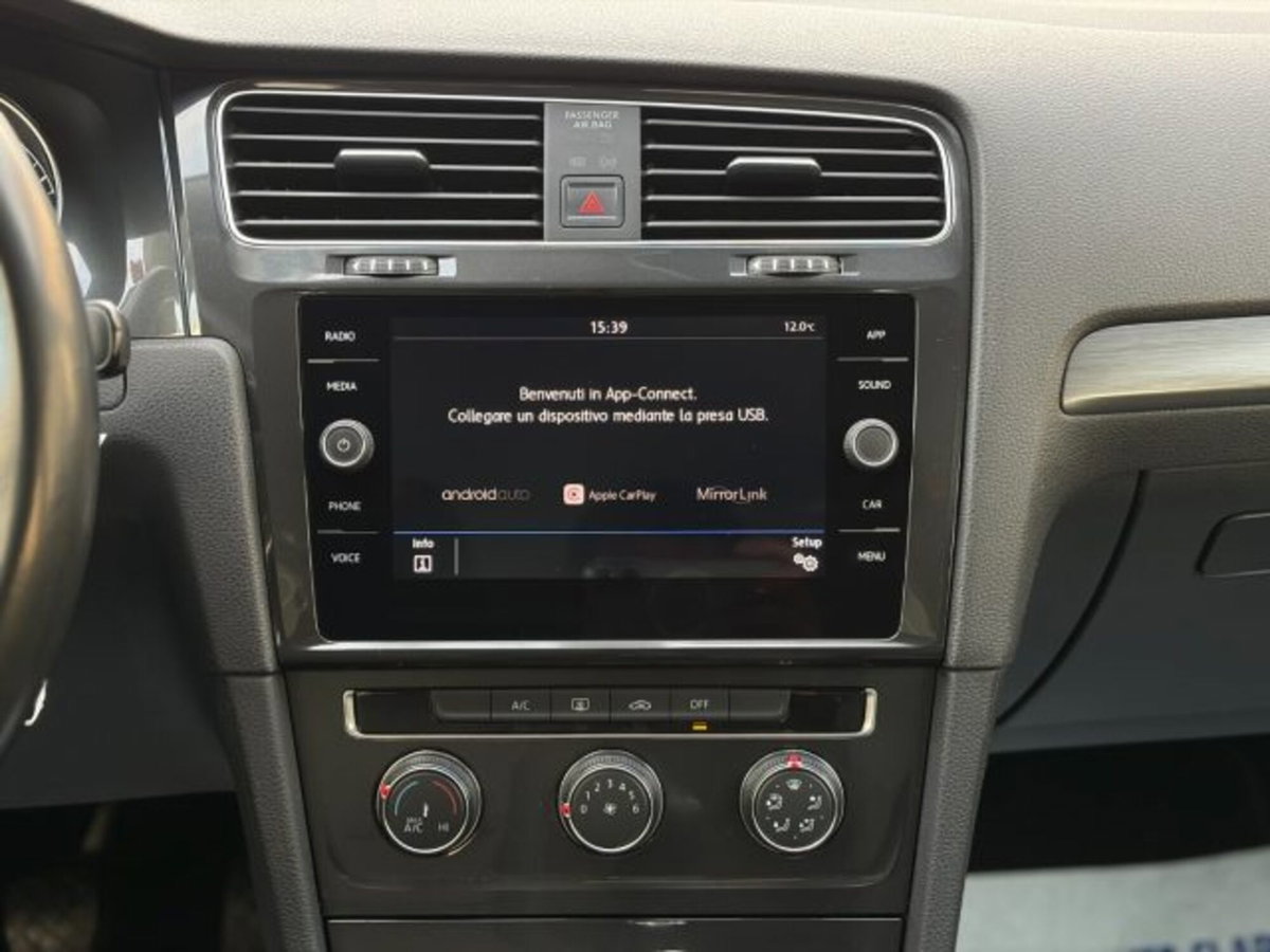 Volkswagen Golf 1.6 TDI 115 CV 5p. Business BlueMotion Technology (13)