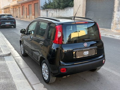 Fiat Panda 1.2 Easy (5)