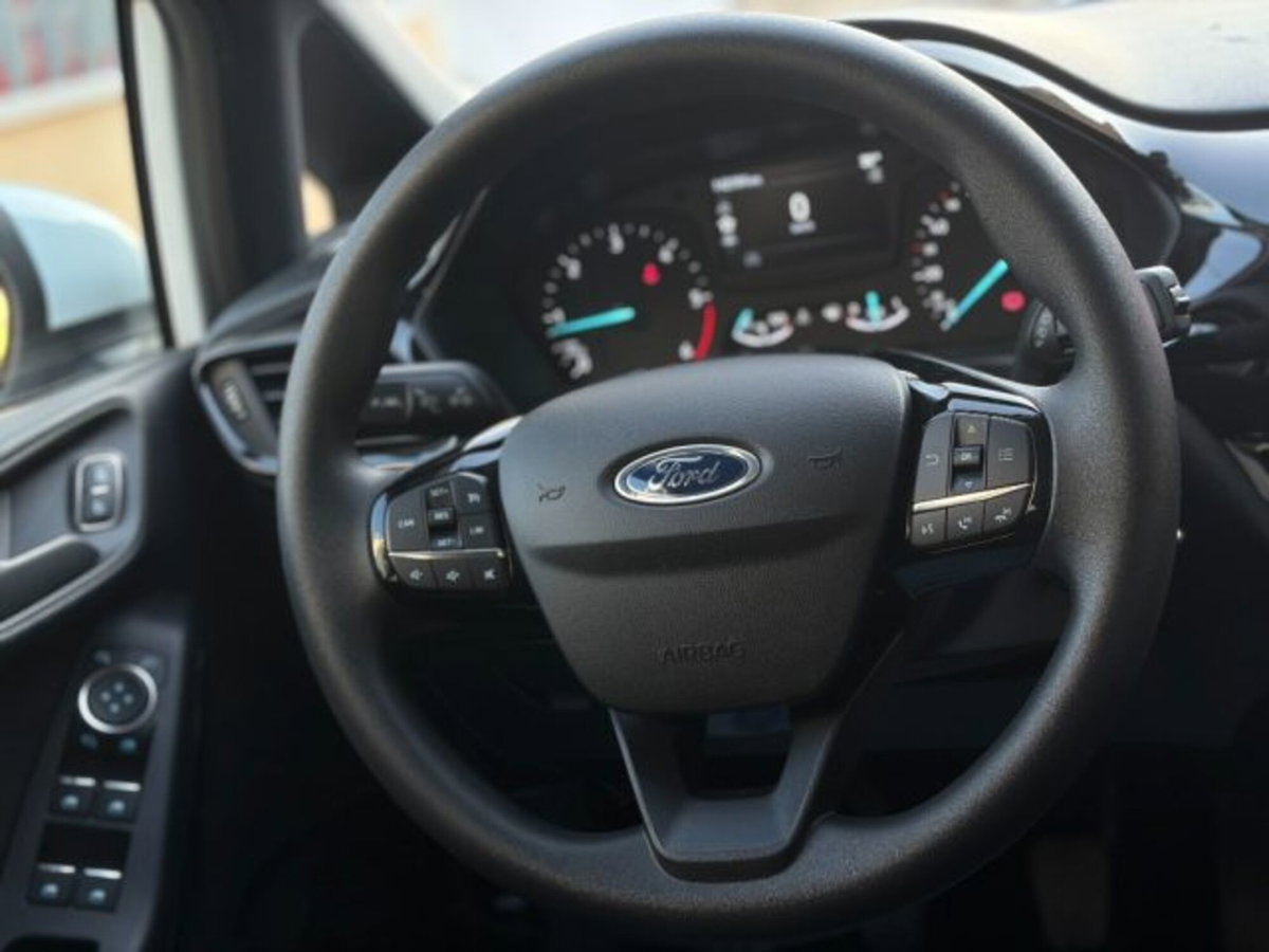 Ford Fiesta 1.5 EcoBlue 5 porte Business High (18)