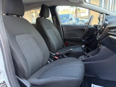 Ford Fiesta 1.5 EcoBlue 5 porte Business High (9)