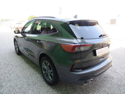 Ford Kuga 2.5 Full Hybrid 190 CV CVT 2WD ST-Line X (2)