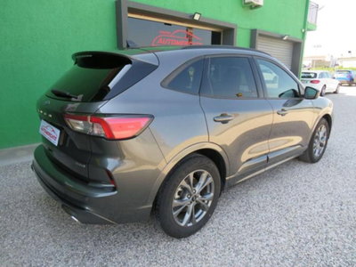 Ford Kuga 2.5 Full Hybrid 190 CV CVT 2WD ST-Line X (6)