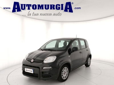 Fiat Panda 1.0 firefly hybrid s&s 70cv 5p.ti (2)