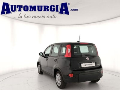 Fiat Panda 1.0 firefly hybrid s&s 70cv 5p.ti (4)