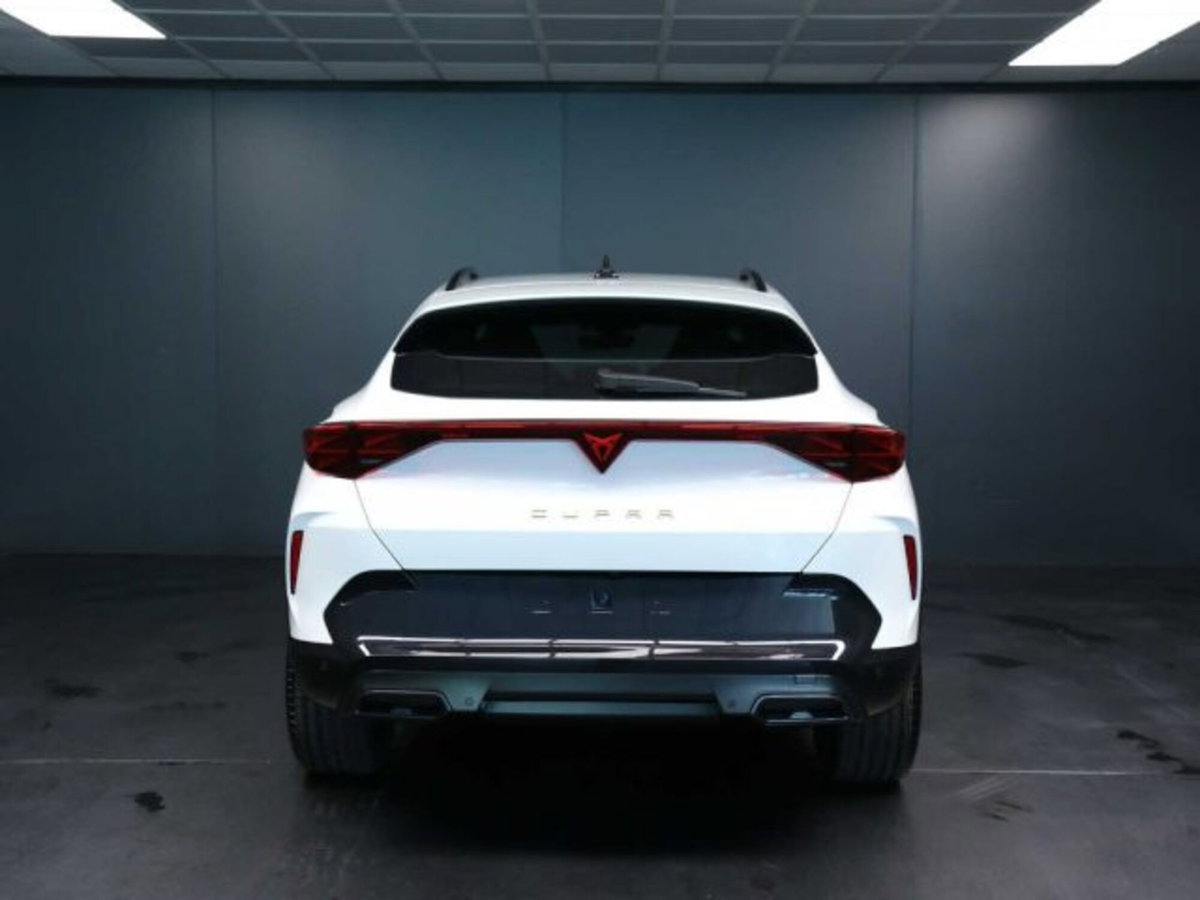 Cupra Formentor 1.5 hybrid 150cv dsg (10)