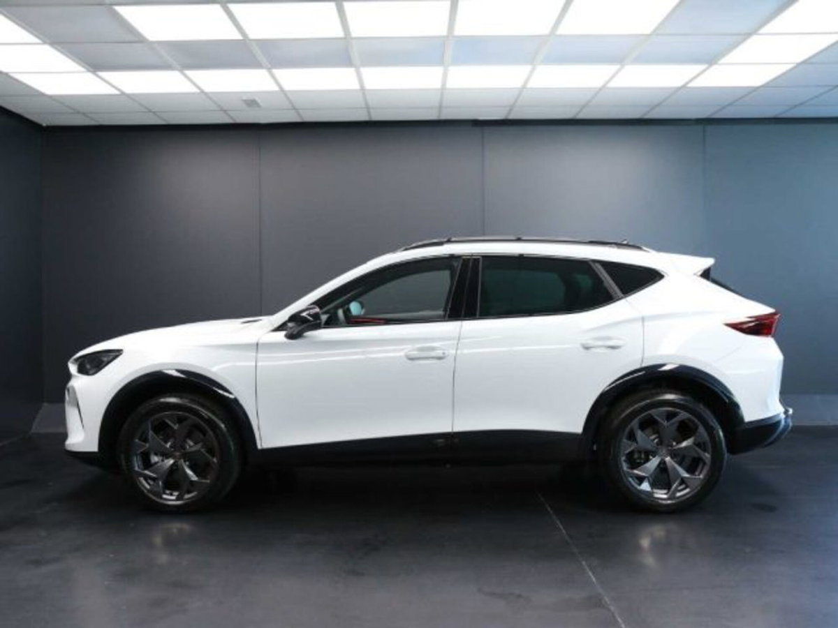 Cupra Formentor 1.5 hybrid 150cv dsg (11)