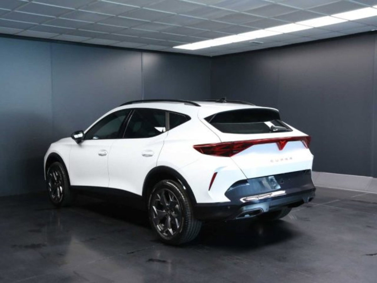 Cupra Formentor 1.5 hybrid 150cv dsg (6)