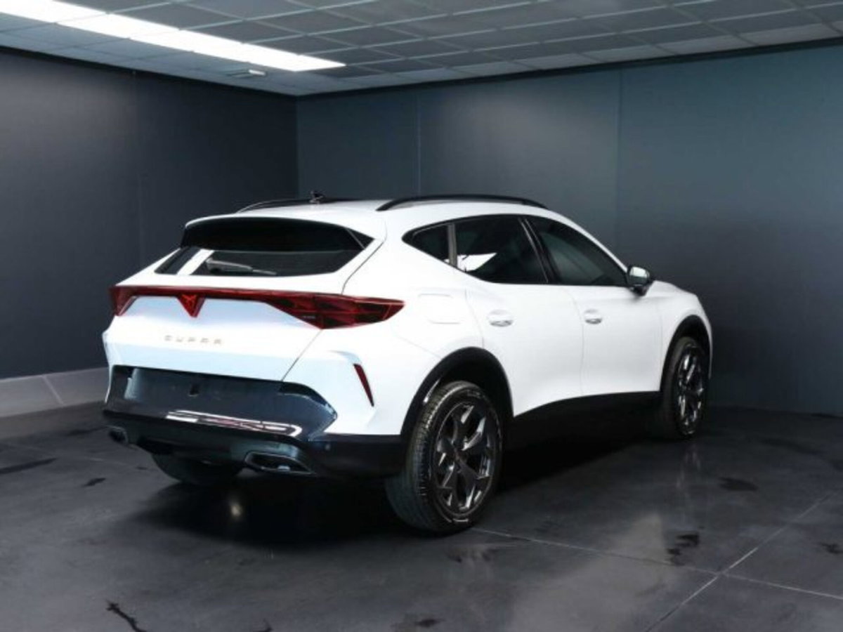 Cupra Formentor 1.5 hybrid 150cv dsg (7)