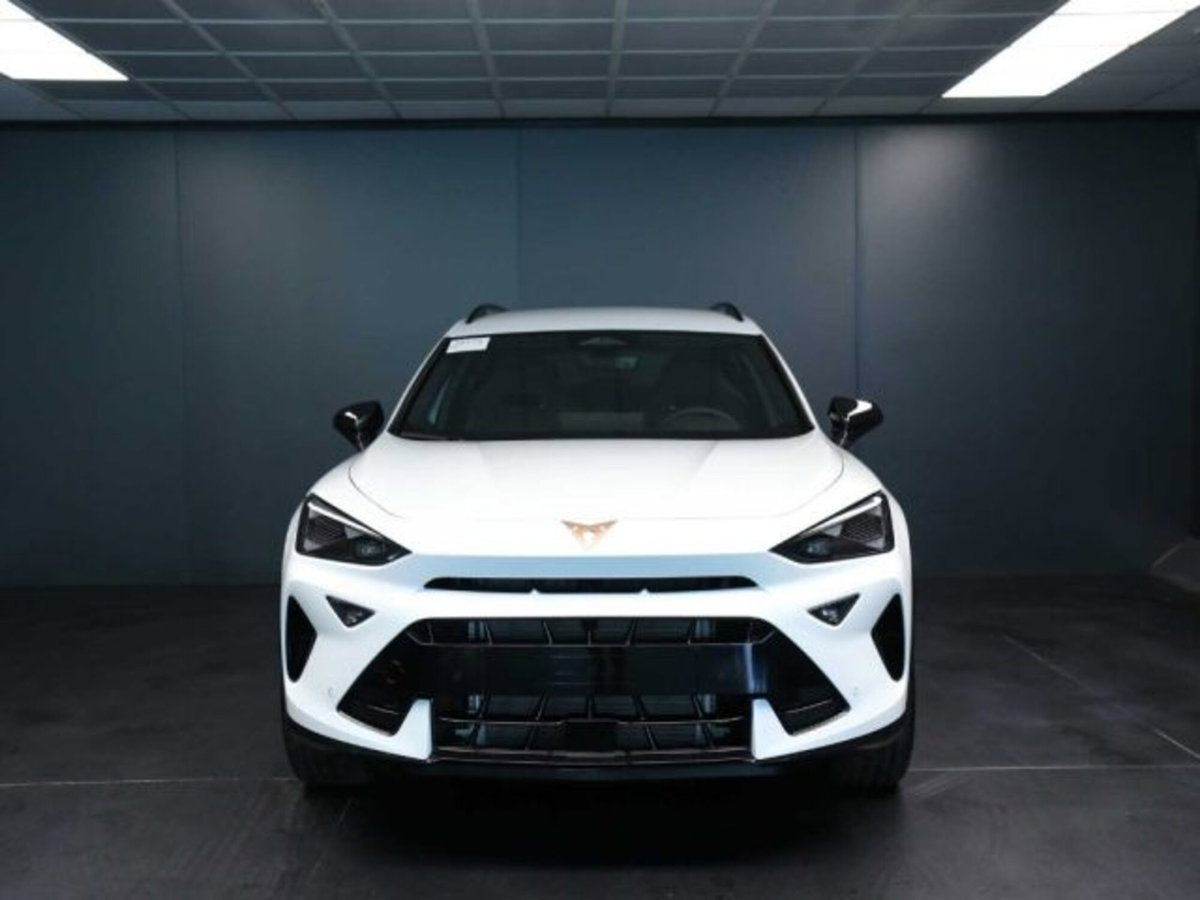Cupra Formentor 1.5 hybrid 150cv dsg (9)
