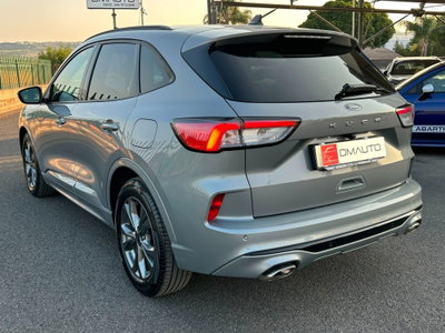 Ford Kuga 2.0 EcoBlue 120 CV aut. 2WD ST-Line X (6)