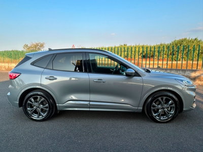 Ford Kuga 2.0 EcoBlue 120 CV aut. 2WD ST-Line X (7)