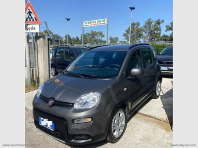 Fiat Panda 1.0 FireFly S&S Hybrid City Cross usata
