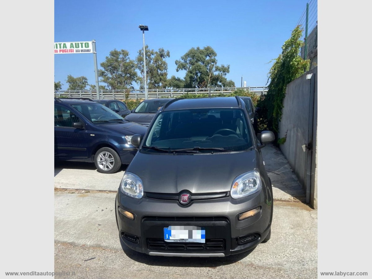 Fiat Panda 1.0 FireFly S&S Hybrid City Cross (2)