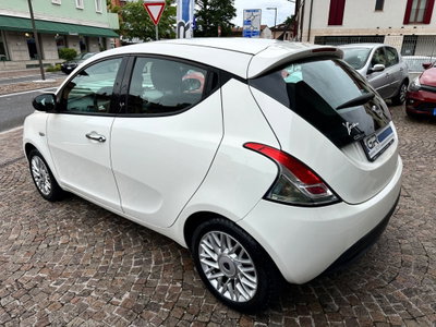 Lancia Ypsilon 1.3 MJT 16V 95 CV 5 porte S&S Platinum (4)
