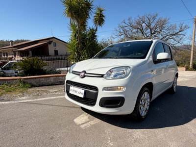 Fiat Panda 1.2 Easy usata