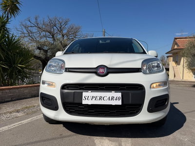 Fiat Panda 1.2 Easy (10)