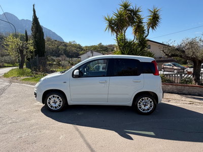 Fiat Panda 1.2 Easy (2)