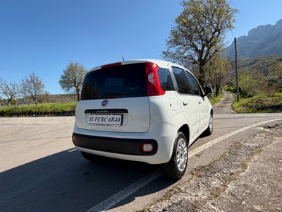 Fiat Panda 1.2 Easy (5)