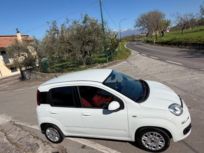 Fiat Panda 1.2 Easy (6)
