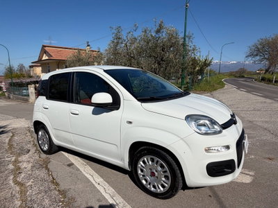 Fiat Panda 1.2 Easy (7)