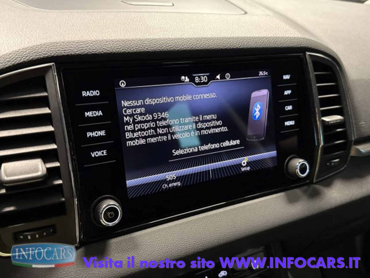 Skoda Karoq 2.0 TDI EVO SCR 115 CV DSG Executive (16)