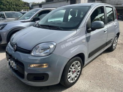Fiat Panda 1.0 firefly hybrid s&s 70cv 5p.ti usata
