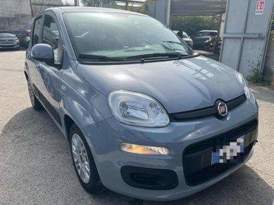 Fiat Panda 1.0 firefly hybrid s&s 70cv 5p.ti (2)