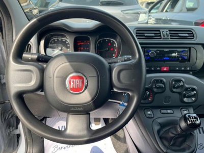 Fiat Panda 1.0 firefly hybrid s&s 70cv 5p.ti (4)