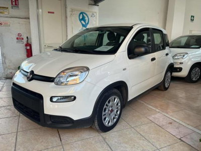Fiat Panda 1.0 firefly hybrid s&s 70cv 5p.ti (2)