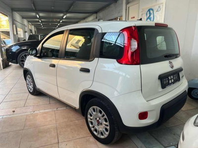 Fiat Panda 1.0 firefly hybrid s&s 70cv 5p.ti (3)