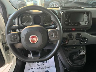 Fiat Panda 1.0 firefly hybrid s&s 70cv 5p.ti (4)
