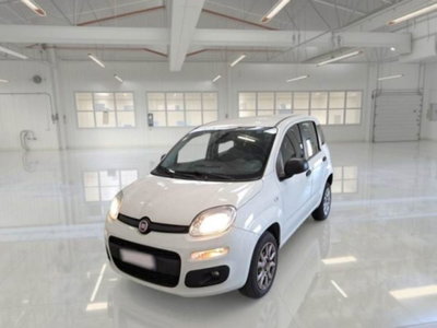 Fiat Panda 0.9 TwinAir Turbo Natural Power Easy usata