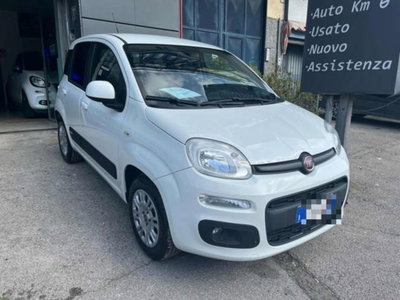 Fiat Panda 1.2 usata