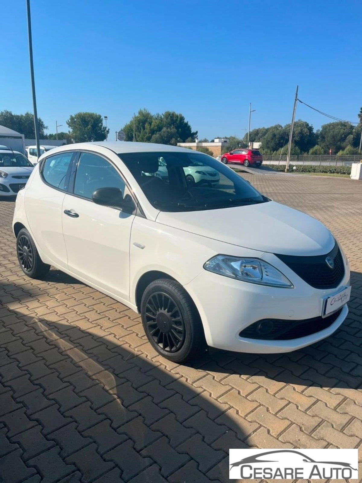 Lancia Ypsilon 1.2 69 CV 5 porte S&S Elefantino Blu (2)