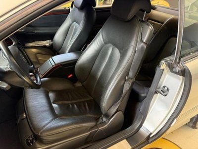 Mercedes-Benz CL 500 cat (10)