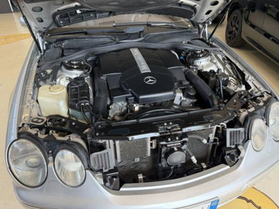 Mercedes-Benz CL 500 cat (15)