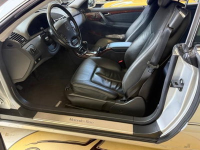 Mercedes-Benz CL 500 cat (19)