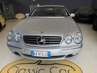 Mercedes-Benz CL 500 cat (2)