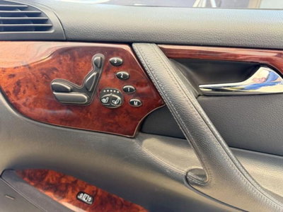 Mercedes-Benz CL 500 cat (20)
