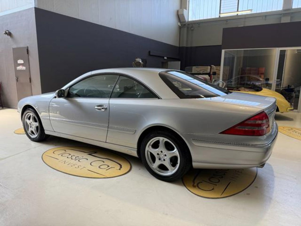 Mercedes-Benz CL 500 cat (4)