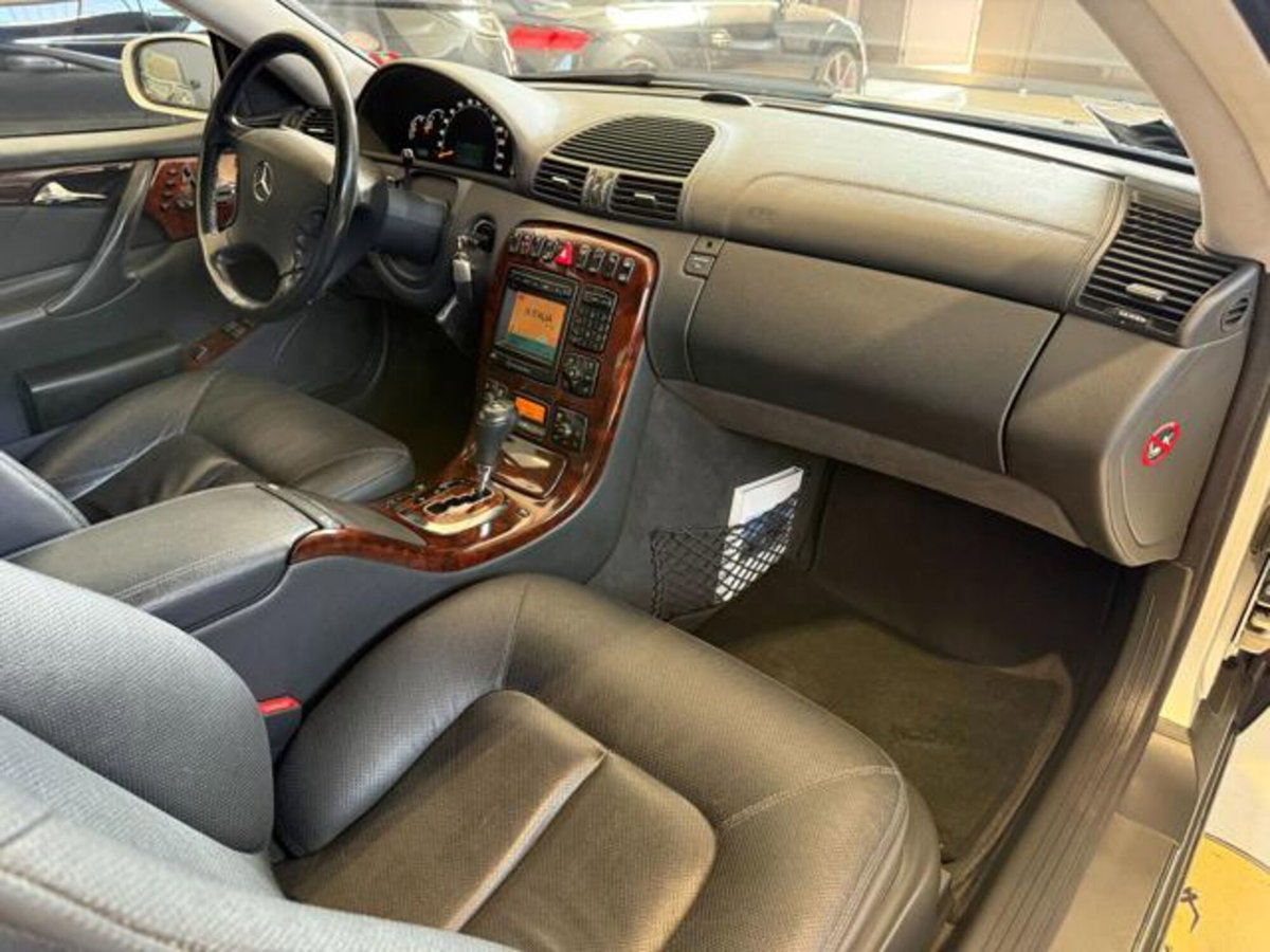 Mercedes-Benz CL 500 cat (9)
