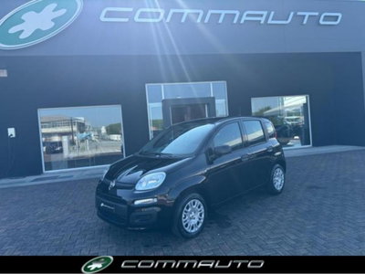 Fiat Panda 1.0 firefly hybrid s&s 70cv 5p.ti nuova