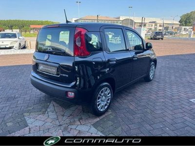 Fiat Panda 1.0 firefly hybrid s&s 70cv 5p.ti (4)