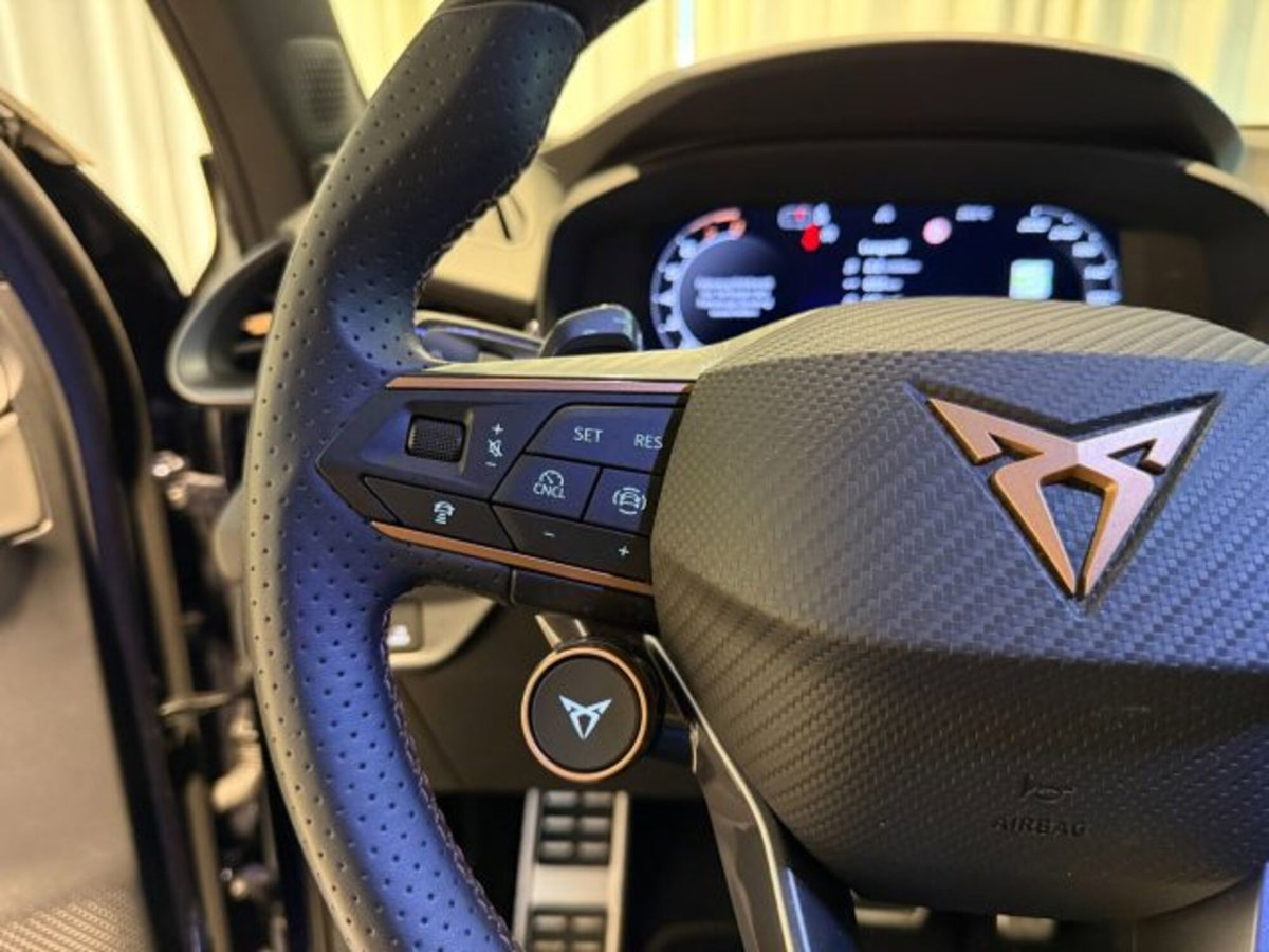 Cupra Terramar 1.5 e-hybrid Impulse 204cv dsg (11)