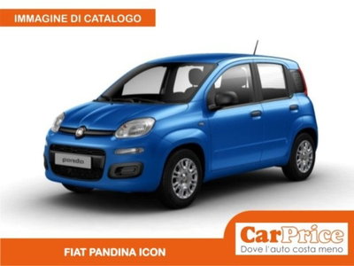 Fiat Pandina 1.0 firefly hybrid Icon s&s 65cv nuova