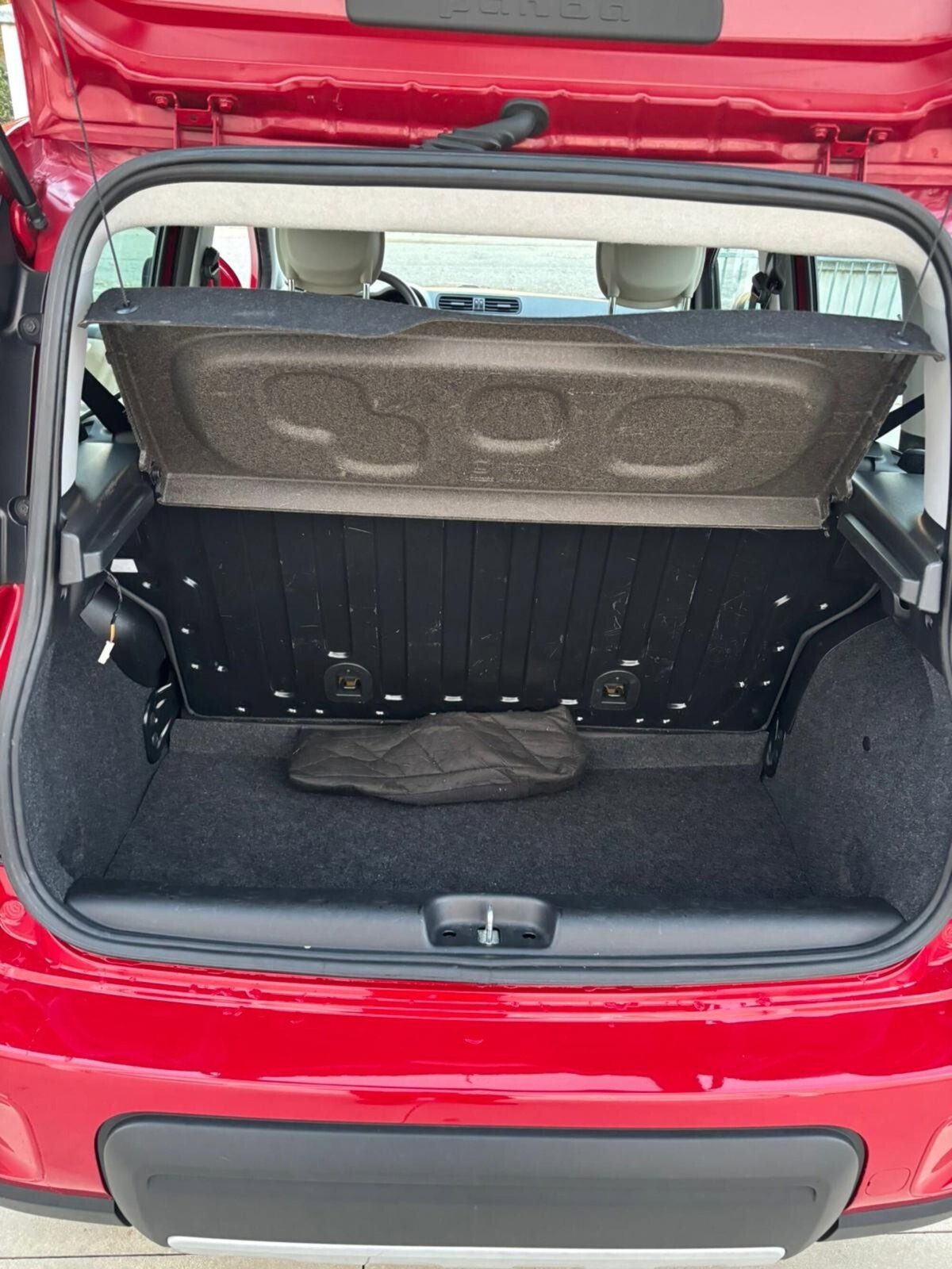 Fiat Panda 1.3 MJT 16V DPF 4x4 Climbing (5)