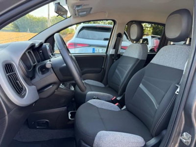 Fiat Panda 1.0 firefly hybrid s&s 70cv 5p.ti (10)