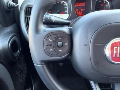 Fiat Panda 1.0 firefly hybrid s&s 70cv 5p.ti (16)